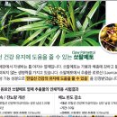 사군자 | 사군자 구매후기(요습관증세완화)