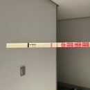 봉자펜션 | 2일 임산부 혼자 여행 후기(엄마손장칼국수/조개줍깅...소설/더샵 스파펜션/연탄불생구이/속초중앙시장...