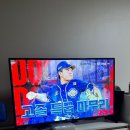 아마따 이미지