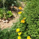 반송 경로당 이미지