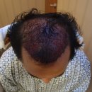 모힐의원 이미지