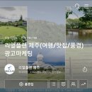 리얼플랜제주
