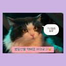 2월은 생일의 계절