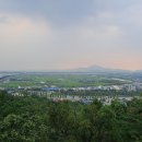 차모두