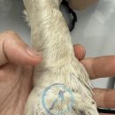 24시송도오케이동물의료센터 이미지