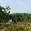샛말산60사루지49은데미산49깃대봉(65m△서울452)달님산81깃대봉[2]100작동산101와롱산100깃대봉[3]65불근산68/경기부천 이미지