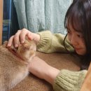 종로-종로-종로-종-242 | 대학로 혜화 아기 고양이들과 힐링한 유기묘 고양이 카페 &#34;집사의 하루 혜화점&#34;