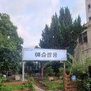 혜림헤어 | 쌀롱 헤어 혜림 디자이너 남자 머리 커트 다운펌 내돈내산 후기 광주 남자 짧은 머리 잘 하는 미용실 추천
