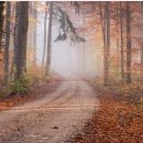 제이에스콜밴 이미지