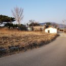 삼산면-2 이미지