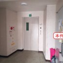 남양주동곡초등학교 이미지