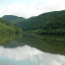 진양축산 | 진양호 오디추천, 오디판매, 오디생과 리얼후기