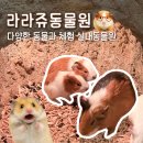 명지 가볼만한곳 | 라라쥬동물원 부산 명지 실내동물원