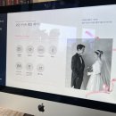 돈쉐라 | [W5] 포튼가먼트 송도 예복 상담 및 당일계약 후기