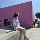 씨티극장 | [미국여행 day6(1)] 미국LA여행ㅣLA시티투어 내돈내산 솔직 후기(할리우드, 돌비극장, 핑크벽, 베버리힐즈)