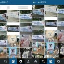 스쿨마니아 이미지