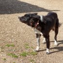 종식농장 이미지