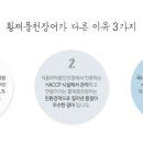 풍천황제장어