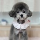 멍스타일 이미지