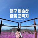 매표소앞약수 | 비슬산 참꽃 군락지 | 15개월 아들과 대구 봄나들이 후기