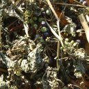 대한건재 이미지