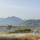 팔도육개장 이미지