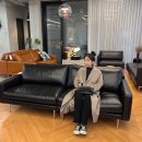 바이헤이데이), 플랫포인트, 피아바, 펠리토, 메이그마티, 에싸, 자코모, 다우닝, 시스디자인, 소파연구소