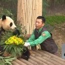 보물공인중개사사무소 이미지