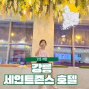 호텔 세인트 | 강릉 세인트존스 호텔 솔직후기 아이랑 수영장·조식까지 다녀왔어요