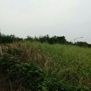 장성3길 이미지