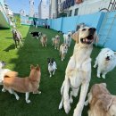 새마을 유치원 이미지