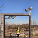 DMZ 평화의 길 4코스 이미지