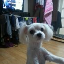 대전장대초등학교 이미지