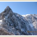 제71차 금당산악회 정기산행 제주도 한라산 눈꽃산행[2012.01.07~08.토요일~일요일] 이미지