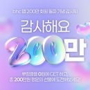 BHC 통닭 쿠키뉴스