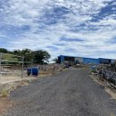 선양목장 이미지