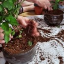 양동 경로당 이미지