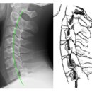 서울통정형외과의원 이미지