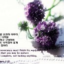 Part The Waters Lord I Need Thee 외 11곡 / Gospel Song 이미지