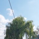 화현생태공원 이미지