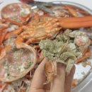 감탄수산 홍게 6kg 주문후기