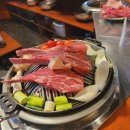 라무진 티스토리