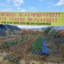 순배농장 네이버블로그