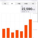 2026 월디페 월드디제이페스티벌 후기(하이볼 8천원, 샷 5천원, 가방검사o, 몸검사x, 토요일 비안옴)