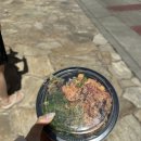본마구로 | 하와이 와이키키 포케 맛집 마구로스팟 솔직후기