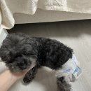 만연축산식당 이미지