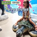 제주해양과학관 (아쿠아플라넷) | 제주 성산 실내 아이랑 즐긴 아쿠아 플라넷 공연까지