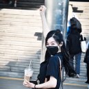 티파니&펫 이미지