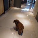 강산동물병원 이미지