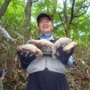 일타삼피 이미지
